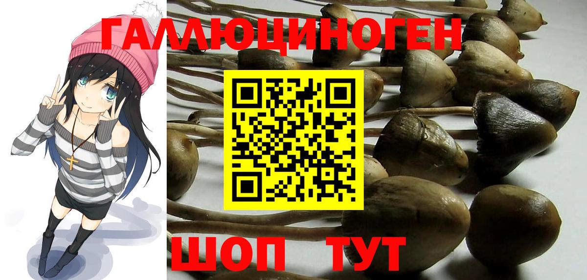 Галлюциногенные грибы GOLDEN TEACHER Уссурийск