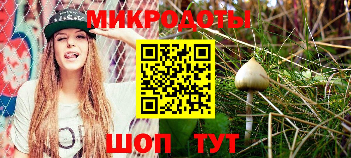 закладка  Вход с VPN  Уссурийск  Псилоцибиновые грибы Psilocybine cubensis 